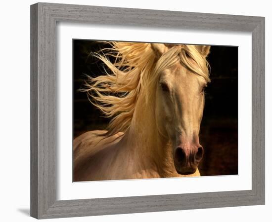 Kieto II-Tony Stromberg-Framed Photographic Print