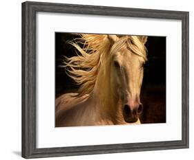 Kieto II-Tony Stromberg-Framed Photographic Print