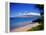 Kihei Beach and West Maui Mountains-James Randklev-Framed Premier Image Canvas