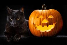 Halloween Pumpkin and Black Cat Scary Spooky and Creepy Horror Holiday Superstition Evil Animal And-kikkerdirk-Photographic Print