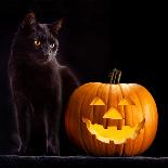 Halloween Pumpkin and Black Cat Scary Spooky and Creepy Horror Holiday Superstition Evil Animal And-kikkerdirk-Photographic Print