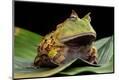 Photographic Print