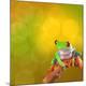 Premium Photographic Print