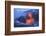 Kilauea lava flow near former town of Kalapana, Big Island, Hawaii, USA-Stuart Westmorland-Framed Photographic Print