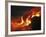 Kilauea Lava Flow Sea Entry, Big Island, Hawaii-null-Framed Photographic Print