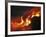 Kilauea Lava Flow Sea Entry, Big Island, Hawaii-null-Framed Photographic Print