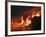 Kilauea Lava Flow Sea Entry, Big Island, Hawaii-null-Framed Photographic Print