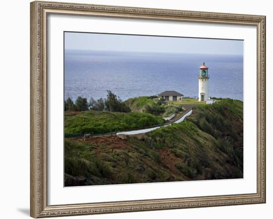 Kilauea Lighthouse, Kauai, Hawaii, USA-Charles Sleicher-Framed Photographic Print