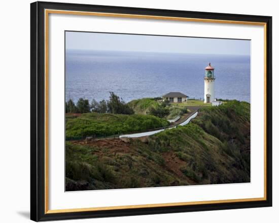 Kilauea Lighthouse, Kauai, Hawaii, USA-Charles Sleicher-Framed Photographic Print