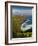 Kilauea Lighthouse, Kauai, Hawaii, USA-Fred Lord-Framed Photographic Print