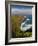 Kilauea Lighthouse, Kauai, Hawaii, USA-Fred Lord-Framed Photographic Print