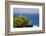 Kilauea Lighthouse, Kauai, Hawaii-George Oze-Framed Photographic Print