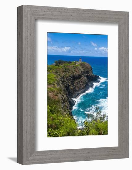 Kilauea Point National Wildlife Refuge-Michael Runkel-Framed Photographic Print