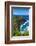 Kilauea Point National Wildlife Refuge-Michael Runkel-Framed Photographic Print