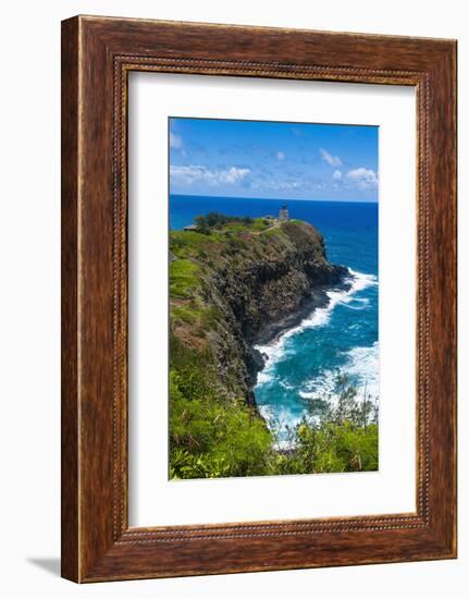 Kilauea Point National Wildlife Refuge-Michael Runkel-Framed Photographic Print