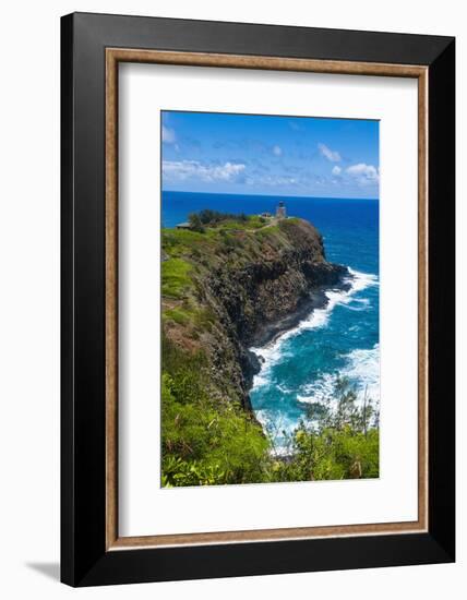 Kilauea Point National Wildlife Refuge-Michael Runkel-Framed Photographic Print