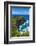 Kilauea Point National Wildlife Refuge-Michael Runkel-Framed Photographic Print