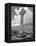 Kilchoman Cross-null-Framed Premier Image Canvas