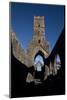 Kilconnell Friary Founded in 1353 on the Site of a 6th Century Franciscan Monastery-null-Mounted Photographic Print