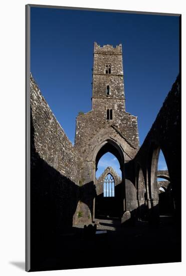 Kilconnell Friary Founded in 1353 on the Site of a 6th Century Franciscan Monastery-null-Mounted Photographic Print