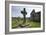 Kildalton Cross, Islay, Argyll and Bute, Scotland-Peter Thompson-Framed Photographic Print
