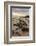 Kildonan shore, Isle of Arran, North Ayrshire, Scotland, United Kingdom, Europe-Gary Cook-Framed Photographic Print