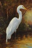 Tropical Egret I-Kilian-Art Print