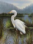 Evening Egret-Kilian-Art Print