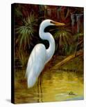 Tropical Egret II-Kilian-Art Print