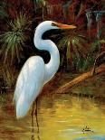 Tropical Egret I-Kilian-Stretched Canvas