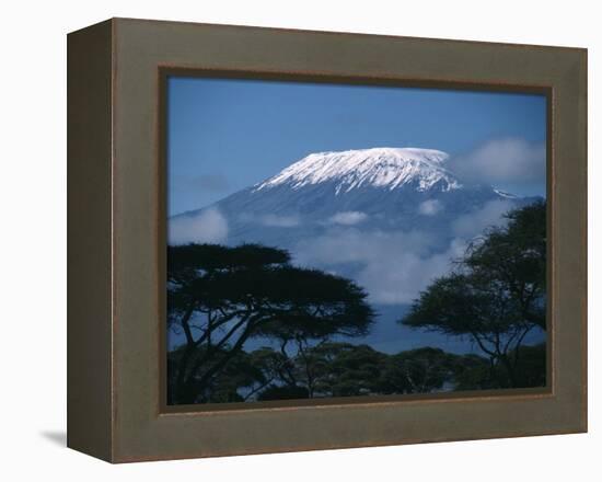 Kilimanjaro and Acacia Trees-null-Framed Premier Image Canvas