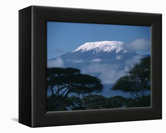 Kilimanjaro and Acacia Trees-null-Framed Premier Image Canvas