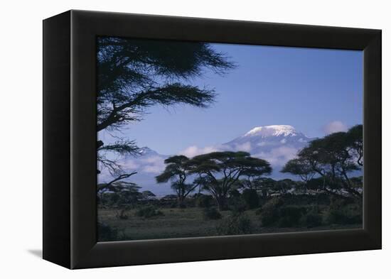 Kilimanjaro and Acacia Trees-DLILLC-Framed Premier Image Canvas