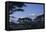 Kilimanjaro and Acacia Trees-DLILLC-Framed Premier Image Canvas