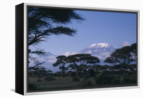 Kilimanjaro and Acacia Trees-DLILLC-Framed Premier Image Canvas