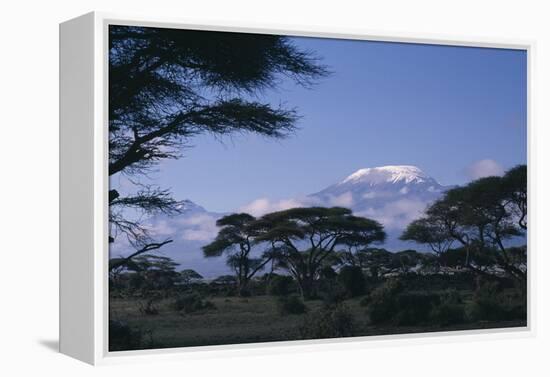 Kilimanjaro and Acacia Trees-DLILLC-Framed Premier Image Canvas