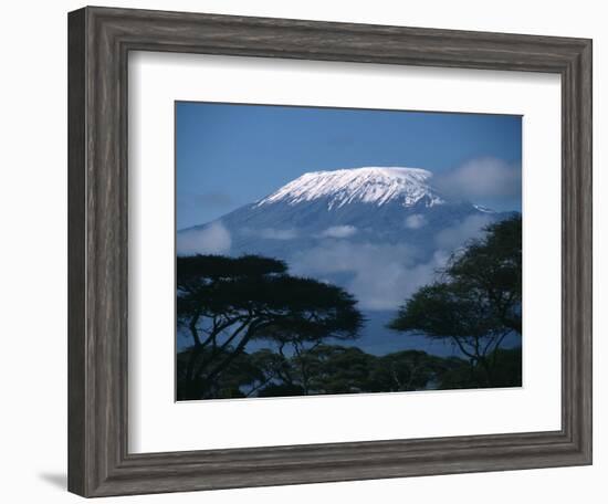 Kilimanjaro and Acacia Trees-null-Framed Photographic Print