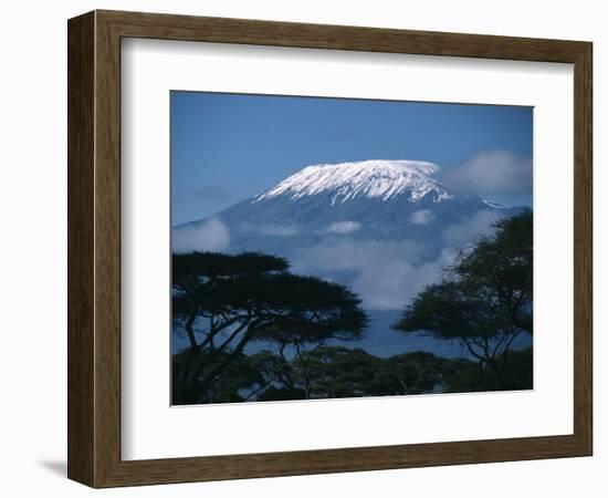 Kilimanjaro and Acacia Trees--Framed Photographic Print