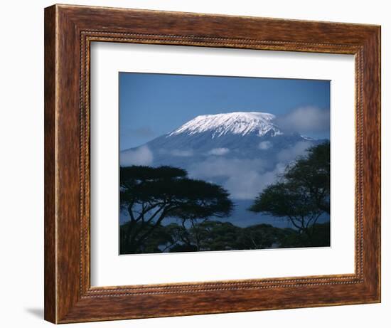 Kilimanjaro and Acacia Trees-null-Framed Photographic Print