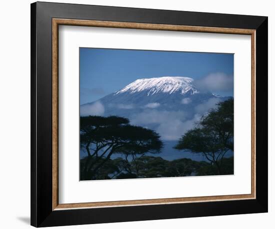 Kilimanjaro and Acacia Trees-null-Framed Photographic Print