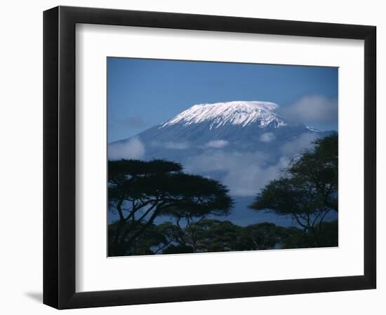 Kilimanjaro and Acacia Trees-null-Framed Photographic Print