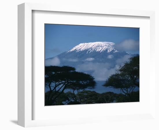 Kilimanjaro and Acacia Trees--Framed Photographic Print