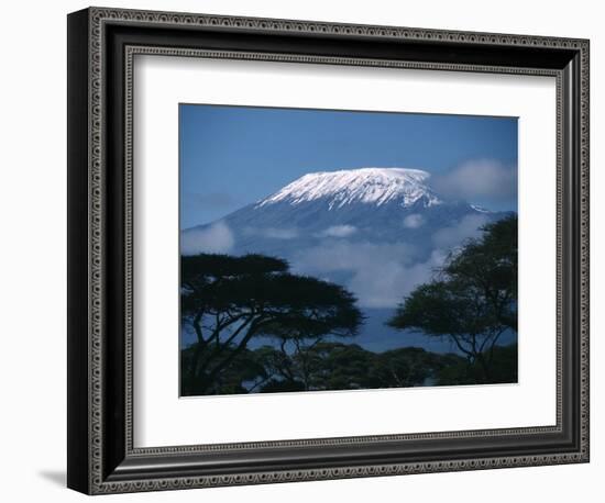 Kilimanjaro and Acacia Trees-null-Framed Photographic Print