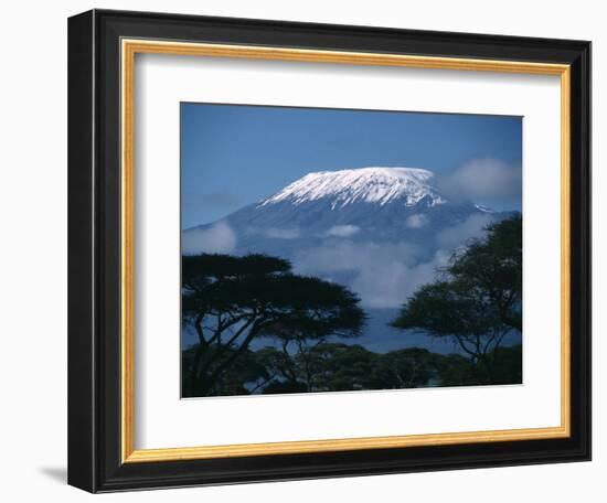 Kilimanjaro and Acacia Trees-null-Framed Photographic Print