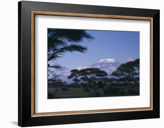 Kilimanjaro and Acacia Trees-DLILLC-Framed Photographic Print