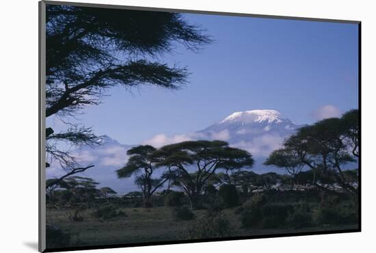 Kilimanjaro and Acacia Trees-DLILLC-Mounted Photographic Print