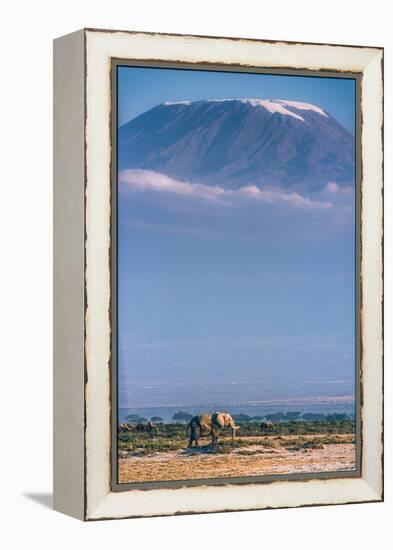 Kilimanjaro and the Quiet Sentinels-Jeffrey C. Sink-Framed Premier Image Canvas