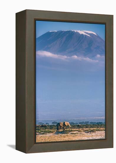 Kilimanjaro and the Quiet Sentinels-Jeffrey C. Sink-Framed Premier Image Canvas