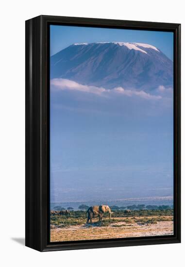 Kilimanjaro and the Quiet Sentinels-Jeffrey C. Sink-Framed Premier Image Canvas