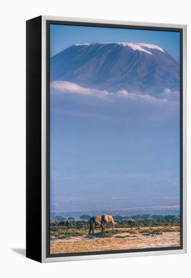 Kilimanjaro and the Quiet Sentinels-Jeffrey C. Sink-Framed Premier Image Canvas